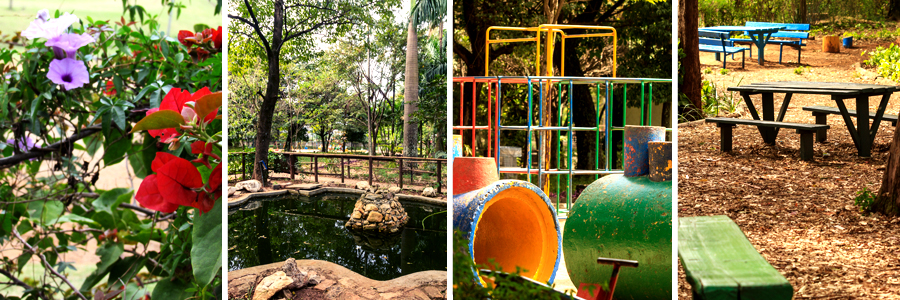 Mosaico com quatro fotografias sendo a primeira de galhos marrom com folhas verdes e flores vermelhas e lilás, a segunda de um lado com pedras ao redor e um elevado de pedras no centro, a terceira de um trepa-trepa nas cores azul, verde, amarelo, vermelho e laranja, e a quarta de um campo aberto com folhas secas no chão bancos e mesas de madeira marrom e azul e árvores em volta.